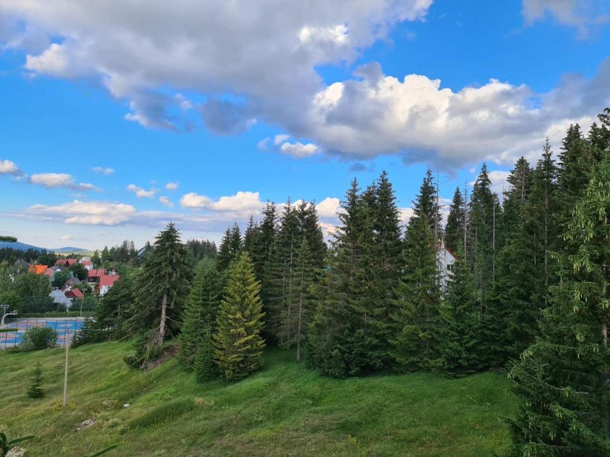 Turisticki Apartmani “Kraljeva Stolica” Žabljak Esterno foto